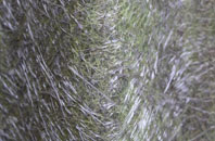 Beckbury fibreglass roof work